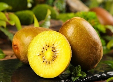خرید و قیمت کیوی هایوارد آریل + فروش عمده